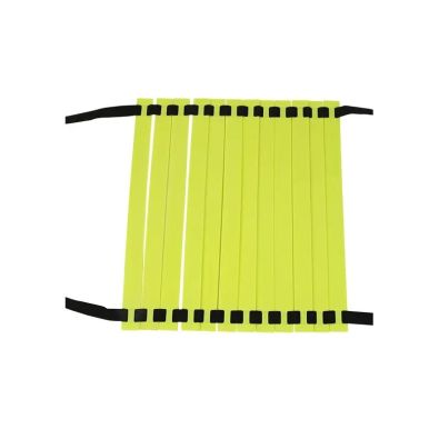 6 METERS AGILITY LADDER